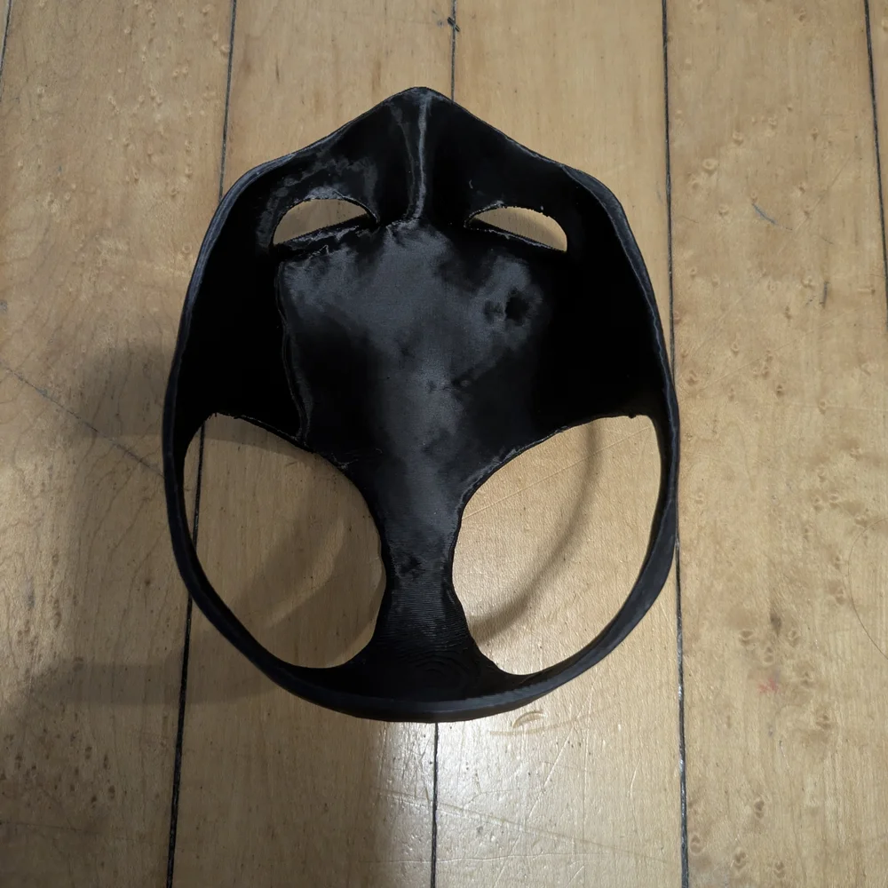 Batman Cat Mask Halloween Costume